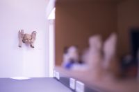 kunstarbeit_vernissage2019_55